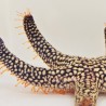 Orange Beaded Starfish
