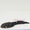 Clingfish Goby
