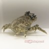 Pithos Crab