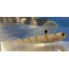 NANO Randalls Prawn Goby (Amblyeleotris randalli)