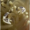 Anemone Crab 2