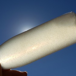 Bottle of cloudy liquid containing baby brine shrimp held up to bright light to emphasis the large number of brine shrimp.