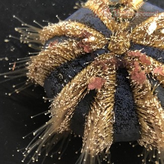 View From Above Under White Light