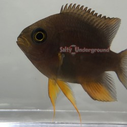 View of Adult at an angle