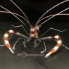 Coral Banded Shrimp (Stenopus hispidus)