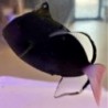 Pinktail Triggerfish (Melichthys vidua)