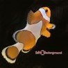 Orange Ocellaris Clownfish (Ocellaris)