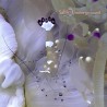 Anemone Shrimp (Periclimenes Brevicarpa)
