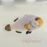 Platinum Clownfish (Percula)