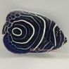 Blue Koran Angelfish - Juvenile