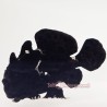 Anglerfish-Black