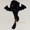 Anglerfish-Black