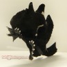 Anglerfish-Black