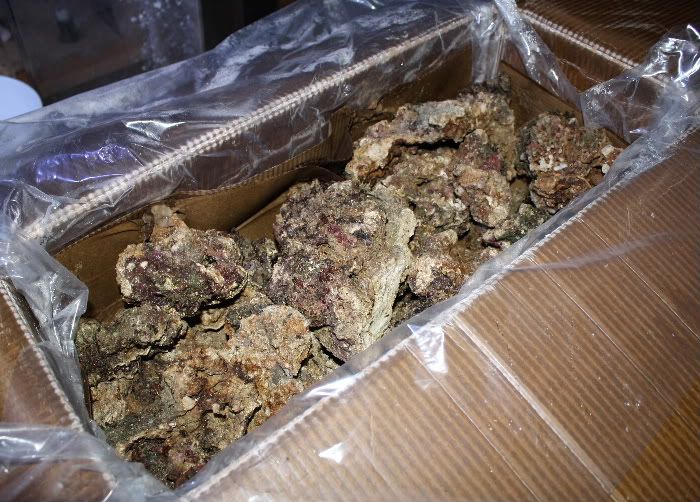 50 Pounds of Fiji live rock.