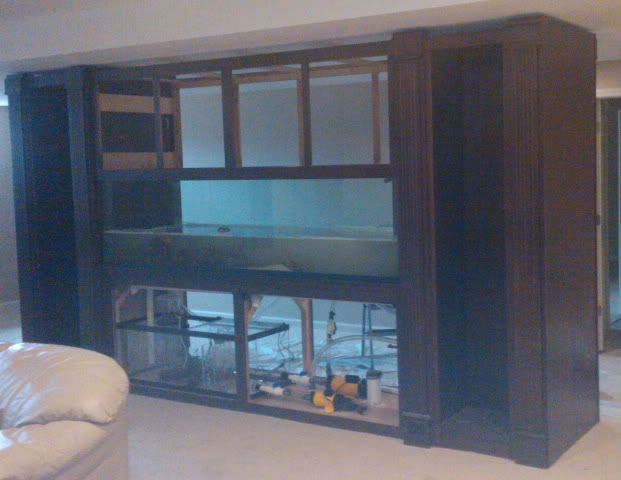 A view of the sump and filter systems some hobbyists use-normally out of sight.